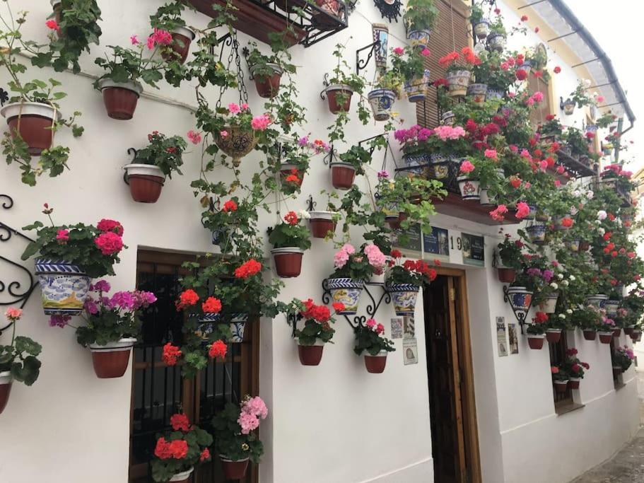 Apartamento La Puerta De La Axerquia Parking Y Wifi Gratis Córdoba Exterior foto